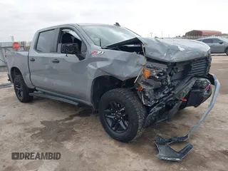 2024 Chevrolet Silverado 1500 Custom Trail Boss with VIN 3GCUDCED6RG410099, listed as a IAAI auction lot 41245352 with 10,482 mi miles. Bid and sale history available at carsss.com. Image 1.