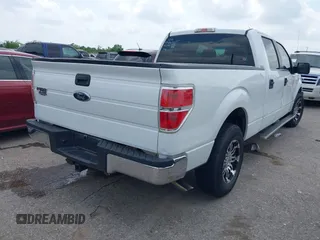 2010 Ford F-150 XL with VIN 1FTEW1C80AKE48904, listed as a IAAI auction lot 42110005 with 255,883 mi miles. Bid and sale history available at carsss.com. Image 4.