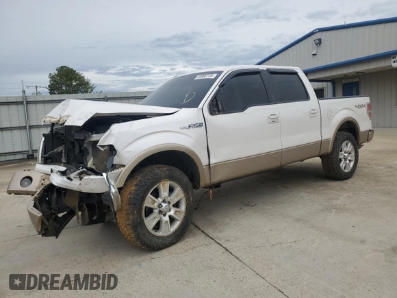 2011 Ford F-150 XL with VIN 1FTFW1EF3BFA24417, listed as a Copart auction lot 58860725 with 204,789 mi miles and Salvage title. Bid and sale history available at DreamBid. Image 1.