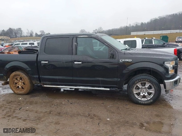 2015 Ford F-150 XLT with VIN 1FTEW1E83FFB17943, listed as a IAAI auction lot 41560117 with 117,024 mi miles. Bid and sale history available at carsss.com. Image 13.