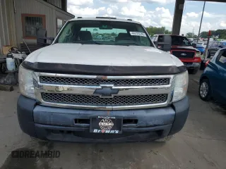 2010 Chevrolet Silverado 1500 with VIN 1GCSKPE32AZ140711, listed as a Copart auction lot 48301125 with 183,663 mi miles and Non Repairable. Bid and sale history available at DreamBid. Image 10.