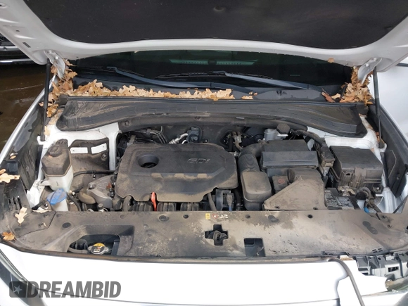 2019 Hyundai Santa Fe SE with VIN 5NMS23AD1KH063472, listed as a IAAI auction lot 41375650 with 64,496 mi miles and . Bid and sale history available at DreamBid. Image 10.