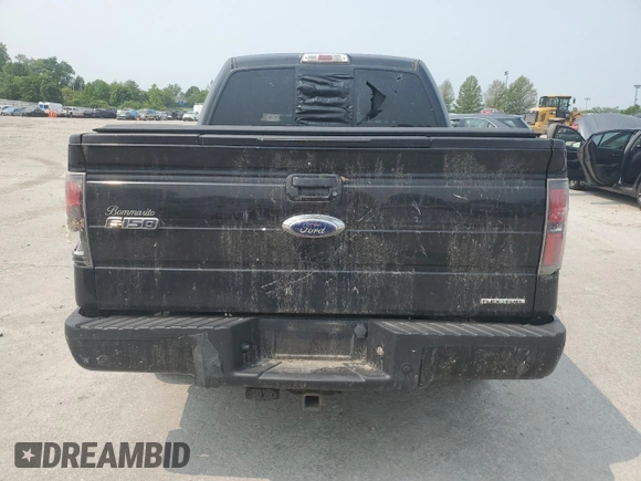 2013 Ford F-150 XL with VIN 1FTFW1EFXDKD59944, listed as a Copart auction lot 58673165 with 198,531 mi miles and Salvage title. Bid and sale history available at DreamBid. Image 6.