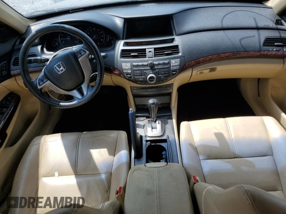 2010 Honda Accord Crosstour EX-L with VIN 5J6TF2H55AL001906, listed as a Copart auction lot 68728614 with 239,198 mi miles and Clean Title. Bid and sale history available at carsss.com. Image 8.