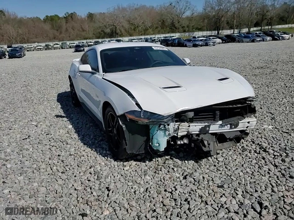 2022 Ford Mustang GT with VIN 1FA6P8CF8N5141337, listed as a Copart auction lot 45724905 with 64,606 mi miles and Salvage Title. Bid and sale history available at carsss.com. Image 14.