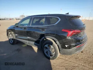 2021 Hyundai Santa Fe SE with VIN 5NMS1DAJXMH329833, listed as a Copart auction lot 42905865 with 116,308 mi miles and Salvage Title. Bid and sale history available at carsss.com. Image 2.