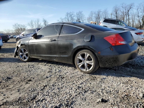 2011 Honda Accord Cpe EX-L with VIN 1HGCS1B85BA005550, listed as a Copart auction lot 49324045 with 144,556 mi miles and Salvage Title. Bid and sale history available at carsss.com. Image 2.