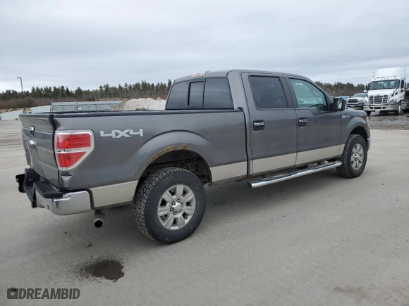 2010 Ford F-150 XL with VIN 1FTFW1E82AFB70260, listed as a Copart auction lot 48669605 with 156,806 mi miles and Salvage Title. Bid and sale history available at carsss.com. Image 3.