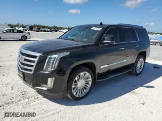 2016 Cadillac Escalade Luxury Collection with VIN 1GYS4BKJ6GR249014, listed as a Copart auction lot 49826755 with 116,444 mi miles and Clean Title. Bid and sale history available at carsss.com. Image 1.