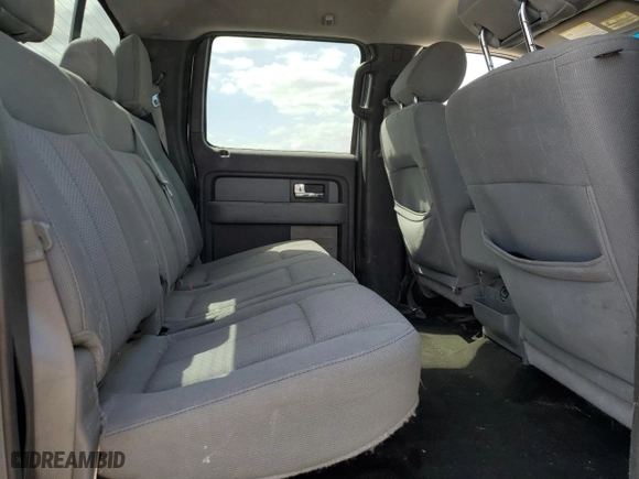 2013 Ford F-150 XL with VIN 1FTEW1CM0DKE02037, listed as a Copart auction lot 49482885 with 419,465 mi miles and Salvage Title. Bid and sale history available at carsss.com. Image 10.