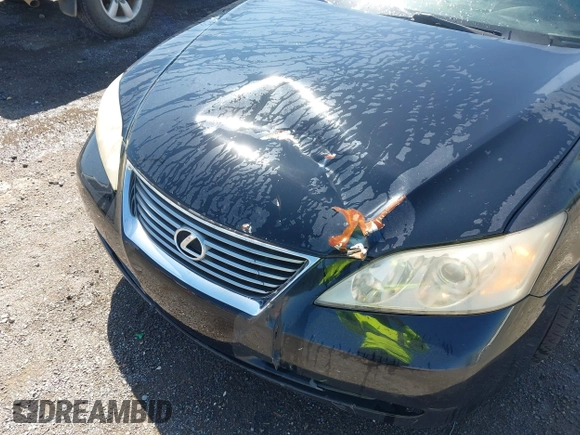 2008 Lexus ES 350 with VIN JTHBJ46G182155060, listed as a IAAI auction lot 42048105 with 237,280 mi miles. Bid and sale history available at carsss.com. Image 6.