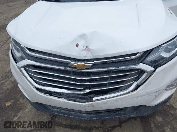 2019 Chevrolet Equinox Premier with VIN 2GNAXYEX4K6236060, listed as a IAAI auction lot 41498269 with 123,971 mi miles. Bid and sale history available at carsss.com. Image 6.