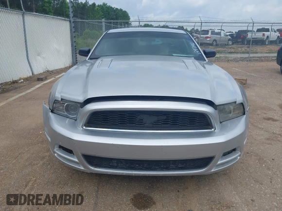 2014 Ford Mustang V6 с VIN 1ZVBP8AMXE5297192, выставлен на аукционе IAAI как лот 42231701 с пробегом Не указан миль и . История ставок и продаж доступна на DreamBid. Изображение 12.