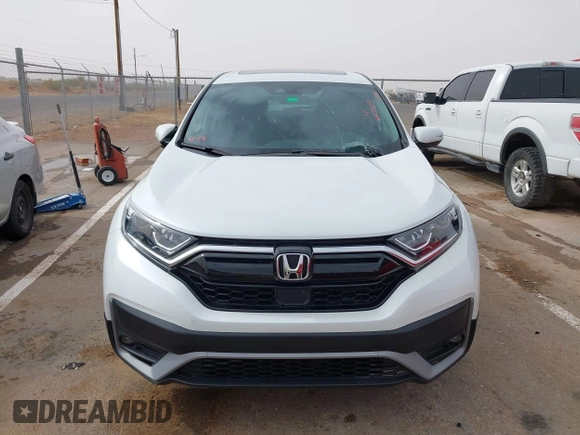 2022 Honda CR-V EX with VIN 7FARW2H50NE052730, listed as a IAAI auction lot 40717699 with 19,514 mi miles and . Bid and sale history available at DreamBid. Image 12.