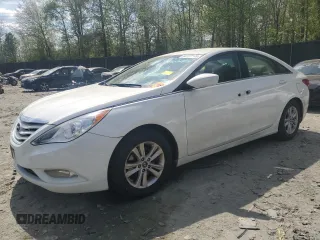2013 Hyundai Sonata GLS with VIN 5NPEB4AC1DH803019, listed as a Copart auction lot 54192145 with 166,456 mi miles and Salvage Title. Bid and sale history available at carsss.com. Image 1.