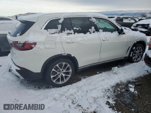 2019 BMW X5 xDrive40i with VIN 5UXCR6C50KLL04443, listed as a Copart auction lot 69102902 with 23,380 mi miles and Salvage Title. Bid and sale history available at carsss.com. Image 3.