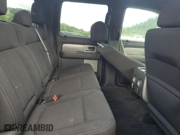 2013 Ford F-150 XL with VIN 1FTFW1EF5DKD04673, listed as a Copart auction lot 60316705 with 308,347 mi miles and Salvage title. Bid and sale history available at DreamBid. Image 10.