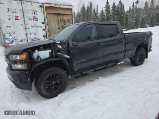 2019 Chevrolet Silverado 1500 Custom Trail Boss with VIN 1GCPYCEF8KZ414311, listed as a Copart auction lot 44328785 with 160,718 mi miles and Salvage Title. Bid and sale history available at carsss.com. Image 1.