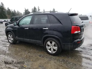 2013 Kia Sorento EX with VIN 5XYKUDA63DG351184, listed as a Copart auction lot 46623205 with 126,102 mi miles and Salvage Title. Bid and sale history available at carsss.com. Image 2.