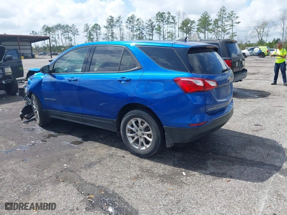 2019 Chevrolet Equinox LS with VIN 3GNAXHEV2KS521825, listed as a IAAI auction lot 41761311 with 117,207 mi miles. Bid and sale history available at carsss.com. Image 3.