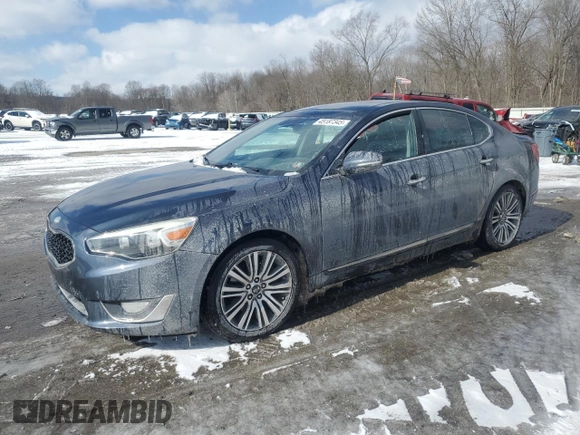 2014 Kia Cadenza Premium with VIN KNALN4D78E5124117, listed as a Copart auction lot 45187345 with 110,781 mi miles and Salvage Title. Bid and sale history available at carsss.com. Image 1.