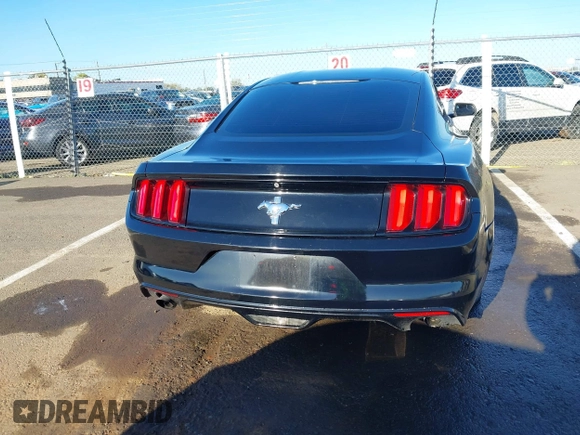 2017 Ford Mustang V6 with VIN 1FA6P8AM0H5272817, listed as a IAAI auction lot 41938576 with Not provided miles and . Bid and sale history available at DreamBid. Image 16.