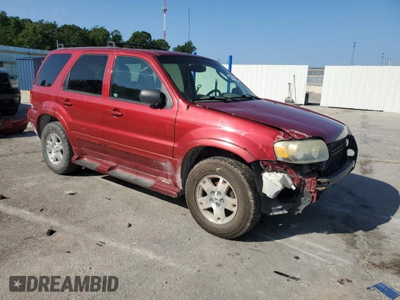 2006 Ford Escape Limited with VIN 1FMYU04116KA40963, listed as a Copart auction lot 61600525 with 208,696 mi miles and Salvage title. Bid and sale history available at DreamBid. Image 4.