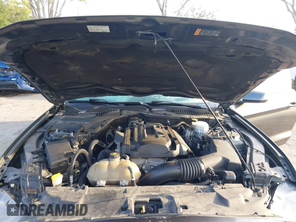 2018 Ford Mustang EcoBoost with VIN 1FA6P8THXJ5172021, listed as a IAAI auction lot 42170389 with 71,772 mi miles and . Bid and sale history available at DreamBid. Image 10.