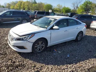 2016 Hyundai Sonata SE with VIN 5NPE24AF1GH359168, listed as a Copart auction lot 54137245 with Not Provided miles and Salvage Title. Bid and sale history available at carsss.com. Image 1.