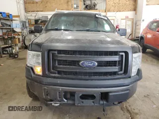2014 Ford F-150 XL with VIN 1FTMF1EM3EKE99275, listed as a Copart auction lot 48309175 with 213,384 mi miles and Salvage Title. Bid and sale history available at carsss.com. Image 5.