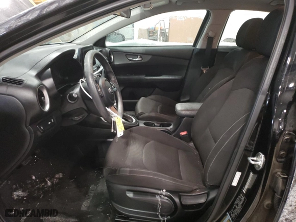 2019 Kia Forte FE with VIN 3KPF24AD0KE136314, listed as a Copart auction lot 45238925 with NaN miles and Salvage Title. Bid and sale history available at carsss.com. Image 7.