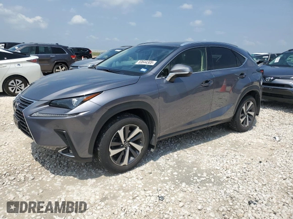 2019 Lexus NX 300 with VIN JTJBARBZ1K2183192, listed as a Copart auction lot 53644305 with 43,832 mi miles and Salvage Title. Bid and sale history available at DreamBid. Image 1.