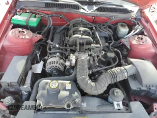 2006 Ford Mustang Standard with VIN 1ZVFT80N865131486, listed as a Copart auction lot 62031945 with Not provided miles and Salvage title. Bid and sale history available at DreamBid. Image 11.