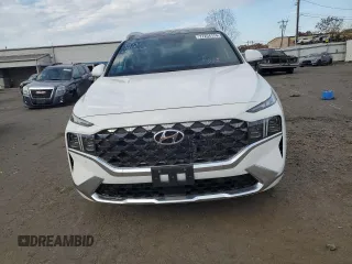 2023 Hyundai Santa Fe Calligraphy with VIN 5NMS5DAL9PH638154, listed as a Copart auction lot 77254174 with 8,565 mi miles and Salvage Title. Bid and sale history available at carsss.com. Image 5.