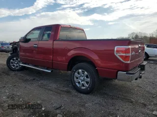 2013 Ford F-150 XL с VIN 1FTEX1EM9DFB55362, выставлен на аукционе Copart как лот 54067255 с пробегом 98 517 миль миль и Списание • Salvage title. История ставок и продаж доступна на DreamBid. Изображение 2.