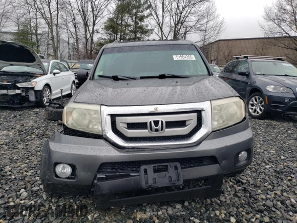 2011 Honda Pilot EX-L with VIN 5FNYF4H59BB079889, listed as a Copart auction lot 51964355 with Not Provided miles and Clean Title. Bid and sale history available at carsss.com. Image 5.