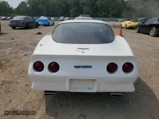 1981 Chevrolet Corvette with VIN 1G1AY8761BS419710, listed as a Copart auction lot 66493984 with 73,881 mi miles and Clean Title. Bid and sale history available at carsss.com. Image 6.