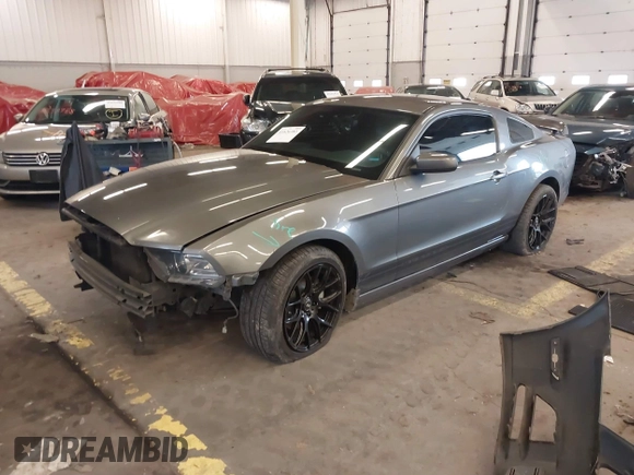 2013 Ford Mustang V6 with VIN 1ZVBP8AM3D5242145, listed as a IAAI auction lot 41626383 with 104,685 mi miles and . Bid and sale history available at DreamBid. Image 18.