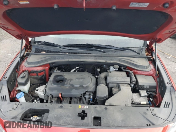 2020 Hyundai Santa Fe SEL with VIN 5NMS3CAD7LH142983, listed as a Copart auction lot 38890333 with 42,956 mi miles. Bid and sale history available at carsss.com. Image 12.