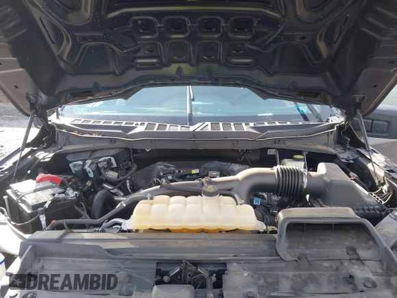 2021 Ford F-150 XL with VIN 1FTEX1EP7MKE31474, listed as a IAAI auction lot 41487560 with 38,030 mi miles and . Bid and sale history available at DreamBid. Image 10.