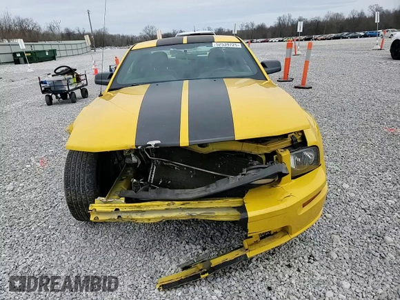 2006 Ford Mustang GT Deluxe with VIN 1ZVHT82H765172787, listed as a Copart auction lot 52539725 with 161,409 mi miles and Salvage Title. Bid and sale history available at carsss.com. Image 10.