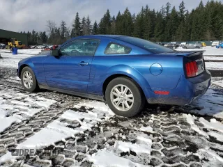 2008 Ford Mustang Deluxe with VIN 1ZVHT80N285119782, listed as a Copart auction lot 45427905 with 109,286 mi miles and Salvage Title. Bid and sale history available at carsss.com. Image 2.