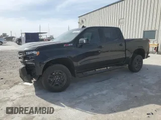 2019 Chevrolet Silverado 1500 LT Trail Boss with VIN 3GCPYFED3KG212539, listed as a Copart auction lot 49748175 with 116,202 mi miles and Salvage Title. Bid and sale history available at carsss.com. Image 1.