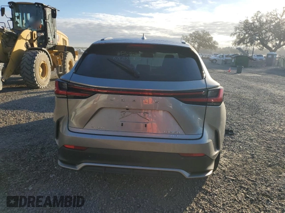 2023 Lexus NX with VIN 2T2KGCEZ5PC018194, listed as a Copart auction lot 81297334 with Not Provided miles and Non Repairable. Bid and sale history available at carsss.com. Image 6.
