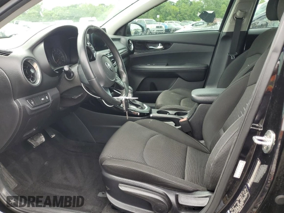 2019 Kia Forte S z VIN 3KPF34AD3KE110772, wystawiony jako Copart lot #55505815 z przebiegiem 123 180 mil mil oraz Szkoda całkowita • Salvage title. Historia ofert i sprzedaży dostępna na DreamBid. Obrazek 7.