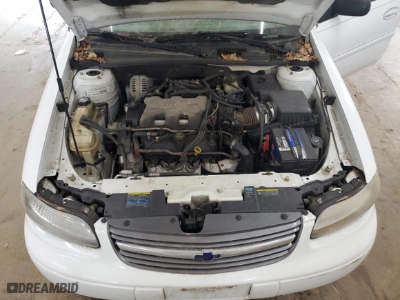 2002 Chevrolet Malibu with VIN 1G1ND52J82M565775, listed as a Copart auction lot 49143235 with 134,062 mi miles and Clean Title. Bid and sale history available at carsss.com. Image 11.