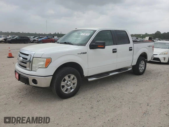 2009 Ford F-150 XL with VIN 1FTRW14849FA84538, listed as a Copart auction lot 51106215 with 165,411 mi miles and Clean title. Bid and sale history available at DreamBid. Image 1.