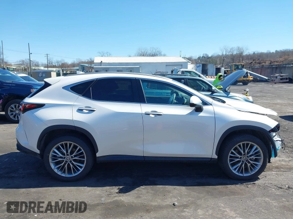 2025 Lexus NX with VIN 2T2GGCEZ1SC067262, listed as a IAAI auction lot 41856760 with 4,217 mi miles. Bid and sale history available at carsss.com. Image 13.