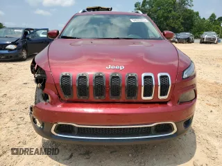 2014 Jeep Cherokee Limited with VIN 1C4PJLDS9EW221691, listed as a Copart auction lot 64095655 with 174,391 mi miles and Salvage title. Bid and sale history available at DreamBid. Image 5.