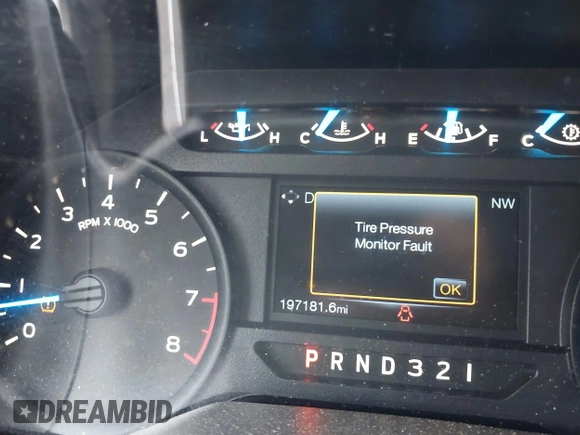 2015 Ford F-150 XL with VIN 1FTEX1C8XFFA75822, listed as a IAAI auction lot 42430498 with 197,181 mi miles and . Bid and sale history available at DreamBid. Image 15.